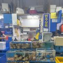 조은상회 이미지