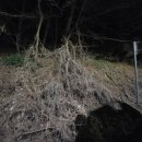 양지마을 1길 이미지