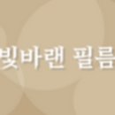 바랜 | [2026 한달뒤 쓴 본식 스냅 후기]결혼 본식dvd 추천/빛바랜 필름 계약 후기
