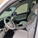 현대버블버블세차장 | 진주세차장 화이트 펠리세이드 프리미엄 세차