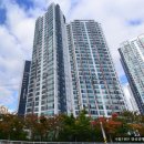 온누리공원 배드민턴장 이미지