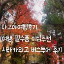 심투어 | 나고야여행 나고야이심추천 및 시라카와고 버스투어 후기