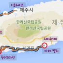 위미위드미게스트하우스