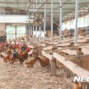 도동농장 이미지