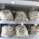 더맛푸드 | 광주 월곡 ㅣ카이막, 아이란을 판매하는 고려인 마트 ㅣ"임페리아 푸드" (맛 후기)