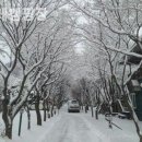 두레캠핑장 | 가평 캠핑장 두레캠핑장 감성캠핑추천리스트실제후기