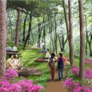 지형놀이공원 이미지