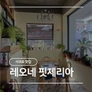 중앙동 시민회관 | [제주] 서귀포 맛집 레오네 핏제리아 화덕피자 내돈내산 추천 후기