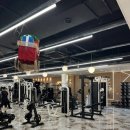 퍼펙트바디 | 운동 분위기가 좋아서 계속 가게 되는 선부역헬스장 퍼펙트바디 후기