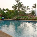 호텔하와이 이미지