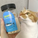 바다고양이식탁 이미지