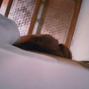 컬티베잇 민박 이미지