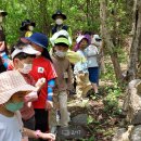 이루숲어린이집 이미지