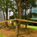 브니엘예술고등학교 이미지