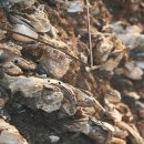 봉황동유적 패총단면전시관 이미지