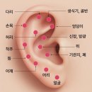 이혈 테라피 이미지