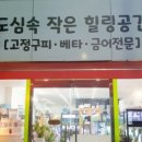어쩌다구피