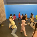 리틀우리태권도 이미지