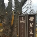 부조묘 이미지