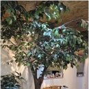 동탄P&P메디칼프라자 | 부드러운 힐링 공간, 동탄아로마마사지의 진정한 휴식 경험 후기