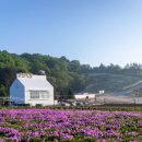 삼양로지스틱스(주) - 원주시 | 삼양로지스틱스(주)