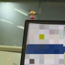인썬 카카오 검색결과