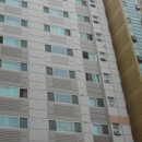 용구대로2469번길 이미지