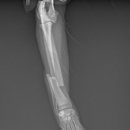 태백동물병원 이미지