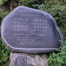 삼기저수지 등잔길 | 조용한 여행지. 댕댕이와 함께하는 산책.안개가 내려앉은 충북 증평. 삼기저수지 등잔길.