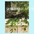 달해스테이사당역