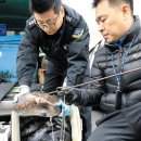 마구잡이수산 이미지
