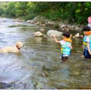 풀하우스펜션 이미지