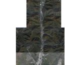 중궁마을회관 이미지