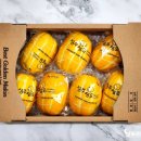 안의액비유통영농조합법인 | 달콤 아삭 신선한 과육 성주 장원인삼참외