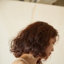 헤르만헤어 - 의정부시 | 헤르만헤어