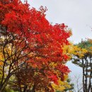 구완서내과의원 이미지