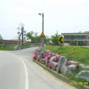 강천보건진료소 이미지