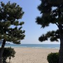 이너피스 | 부산 +2