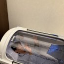 오투 | 피로회복에 좋다는 고압산소케어 효과, 가격은? 여의도 오투온 후기