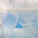 이정형 카카오 검색결과