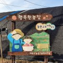 행복한 농장 이미지