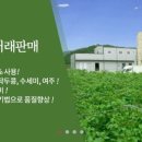 농업회사법인 주식회사 청정식품 이미지