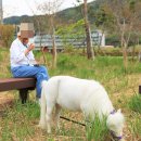 서호테라피