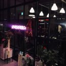 소나무 휘트니스 이미지