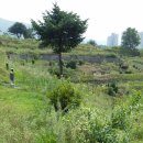 양평공설공원묘지 이미지