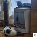 통갈치 | 🐟 제주시 탑동 맛집 궁서체 통갈치세트 솔직후기｜겉바속촉 갈치구이 한상