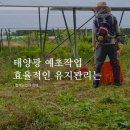 형제 태양광발전소 이미지