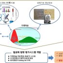 알파정보시스템