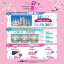 더봄안경 이미지