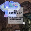앨리스 in 제주비 | 제주 서귀포 실내 가볼만한 곳 추천, 박살2 : K-아일랜드제주 및 학교괴담in제주 방문 후기